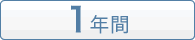 レンタル期間：1年間